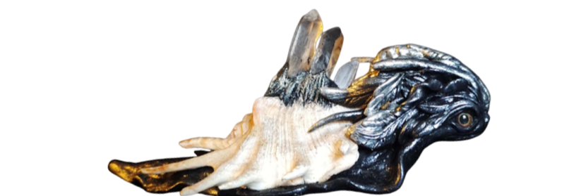 CollageImage14 impressum